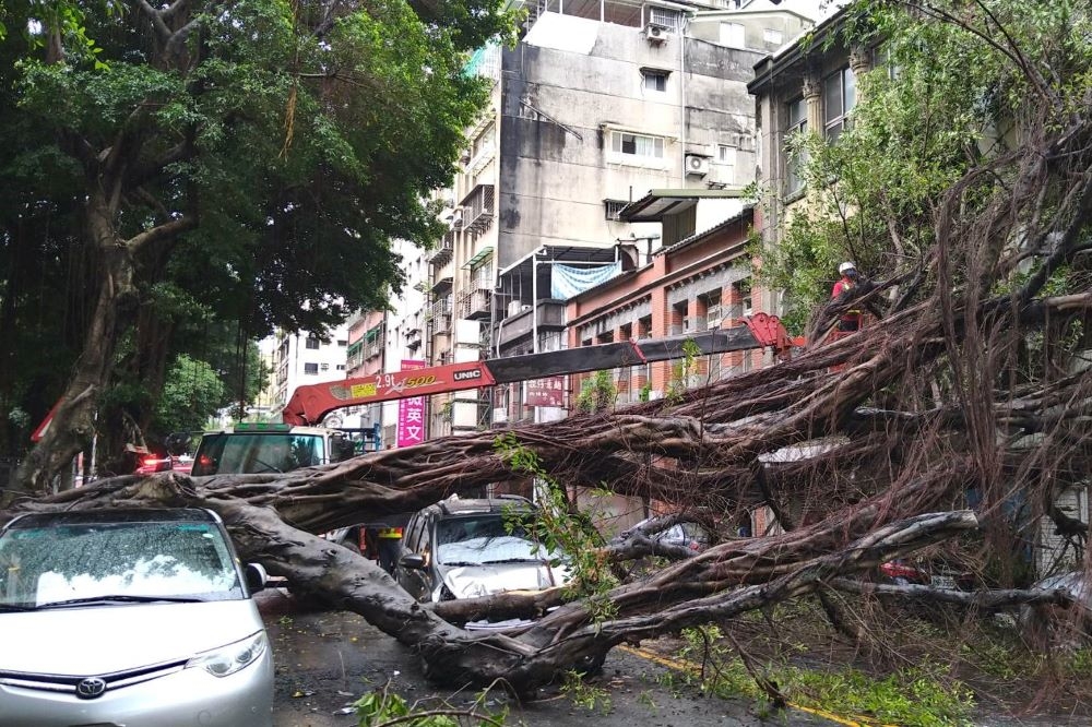 台北市大同區路樹倒塌，壓壞底下5輛車。（翻攝畫面）