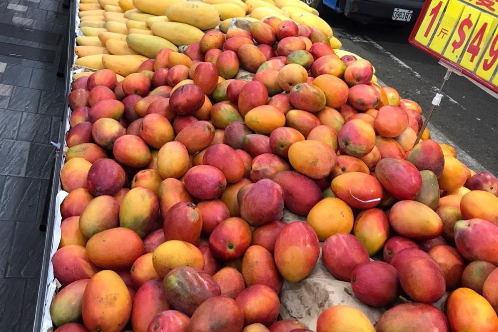 澳門一批台灣芒果樣本經過核酸檢測呈現陽性，100公斤芒果全被銷毀。示意圖。（資料照片／讀者提供）