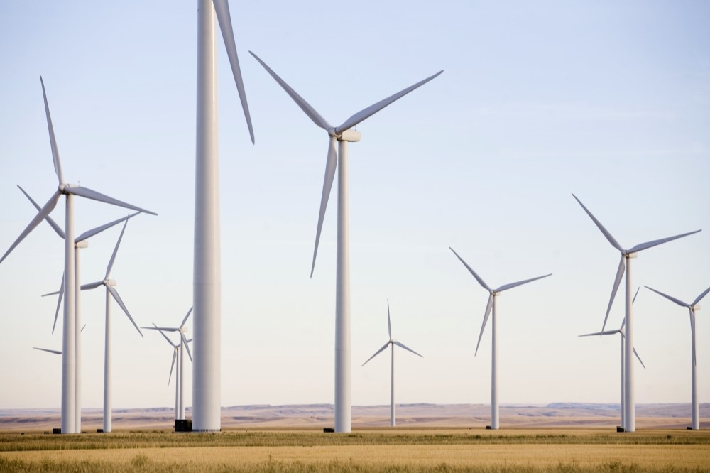 減碳不遺餘力！3M研發風機葉片維修產品　2050年全球據點100%使用綠電
