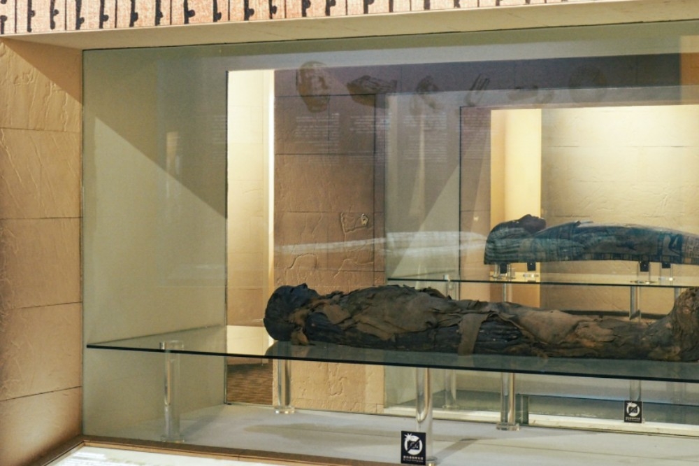 科博館證實館內的木乃伊是「真的」。（取自國立自然科學博物館粉絲專頁）