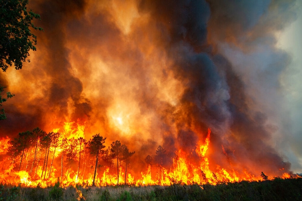 法國吉倫特省森林大火。（美聯社）
