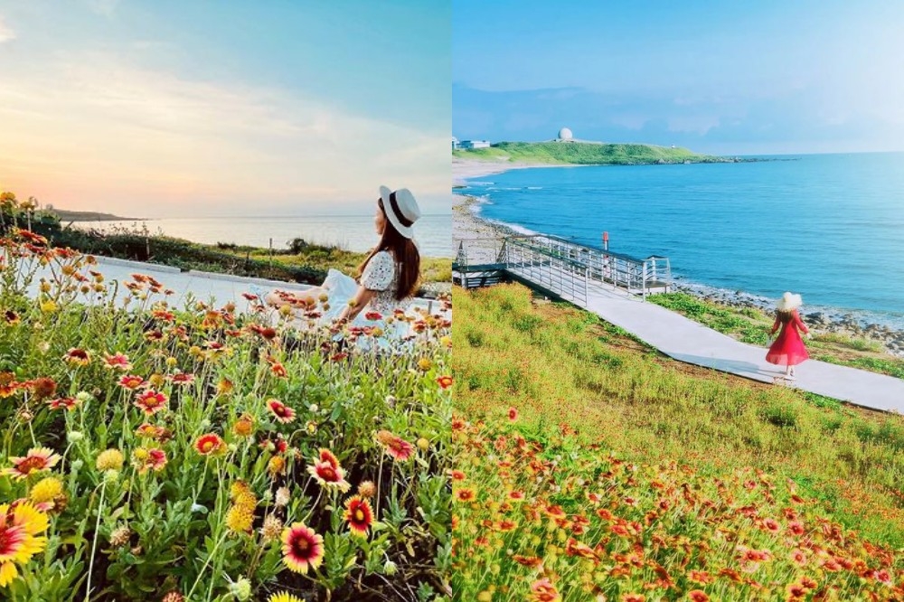 老梅風箏公園「天人菊花海」鮮豔盛開，成為近期最夯打卡景點。（Instagram@lichi0118、3more_hi4授權）