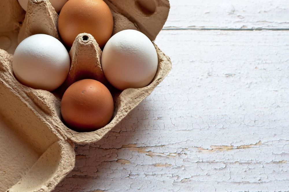 台北市蛋商公會表示20日起蛋價在張2元。示意圖（取自pixabay）