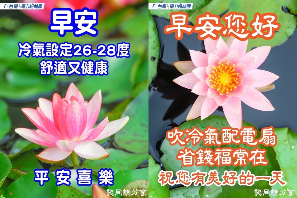 台電小編推出節電小語長輩圖。(取自「台電電力粉絲團」臉書粉絲專頁)