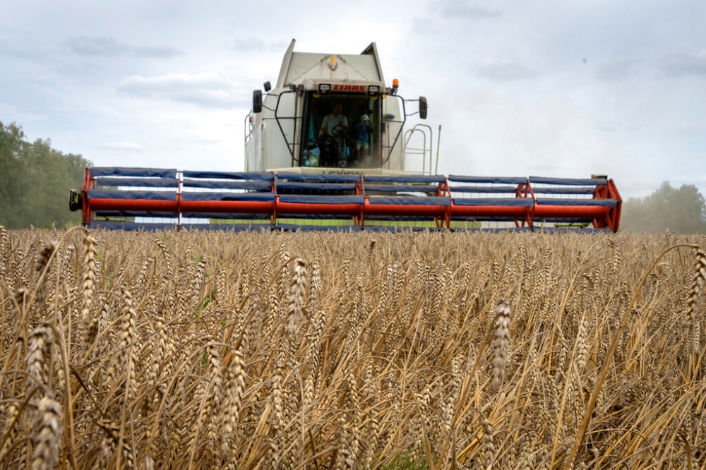 乌克兰兹古里夫卡村农民正在收割小麦（美联社）(photo:UpMedia)
