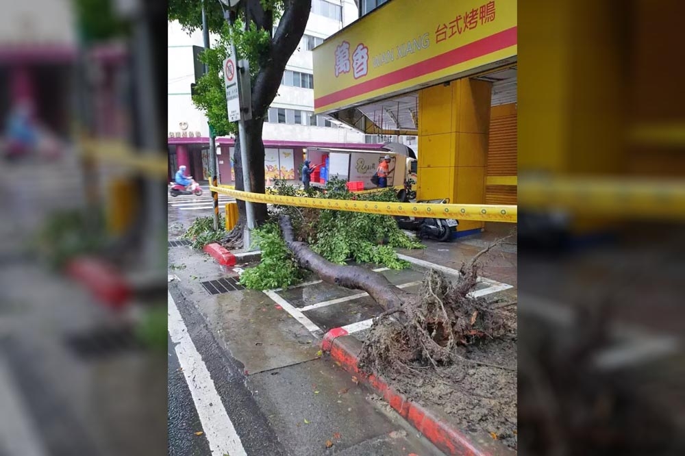 颱風「軒嵐諾」帶來強風豪雨，台北市不少地區傳出災情。（台北市政府提供）
