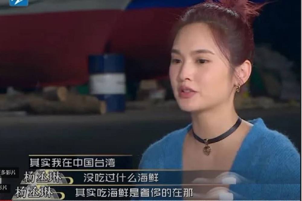 楊丞琳參加中國電視節目談話惹議。（取自中國浙江衛視畫面）