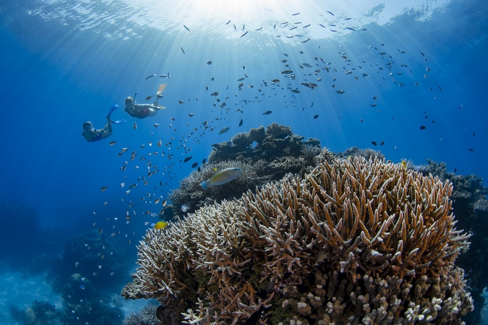 陽光明媚的昆士蘭是澳洲最受喜愛的度假勝地，其中又以大堡礁最受到旅客歡迎。(昆士蘭旅遊及活動推廣局提供)