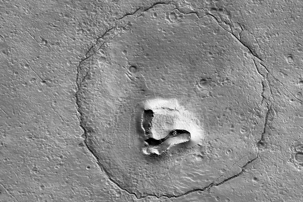 NASA發布的火星照片，看起來像一頭熊。（取自NASA網站）