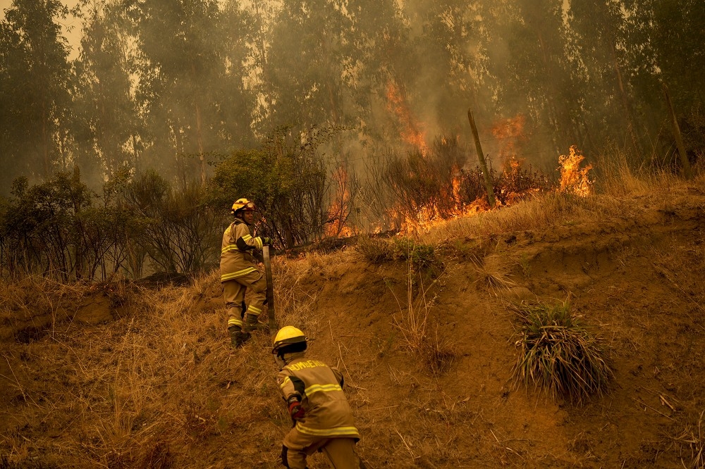 智利野火在高溫助長下不斷蔓延，當局已擴大緊急狀態區域，期望盡快控制火勢。（美聯社）