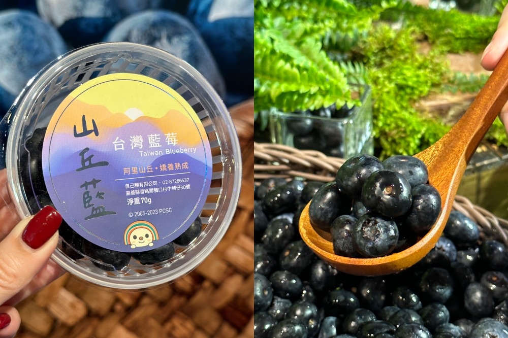 台灣藍莓「山丘藍」即日正式上市（周羿庭攝）