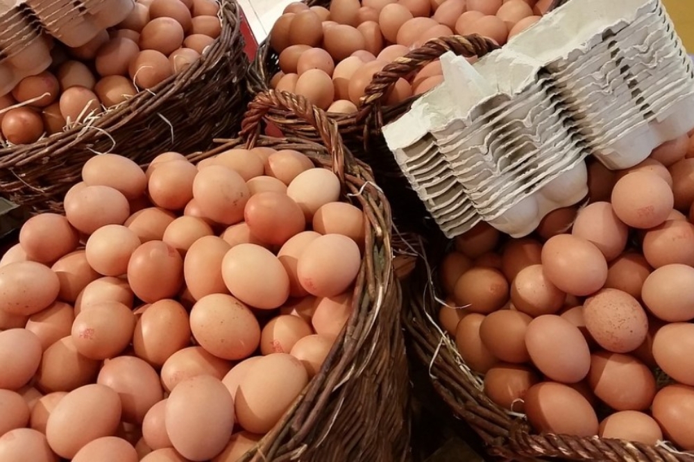 蛋價評議委員會決議暫時凍漲，於一周內確定蛋價對外公布。（取自pixabay）