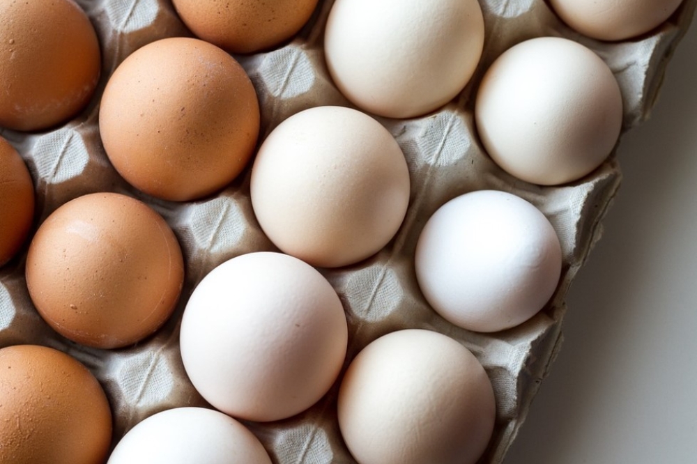 農委會於今天（12日）表示，13日起雞蛋產地價調漲2元、產地收購價為每台斤42.5元、批發價則漲至每台斤52元。（取自pixabay）