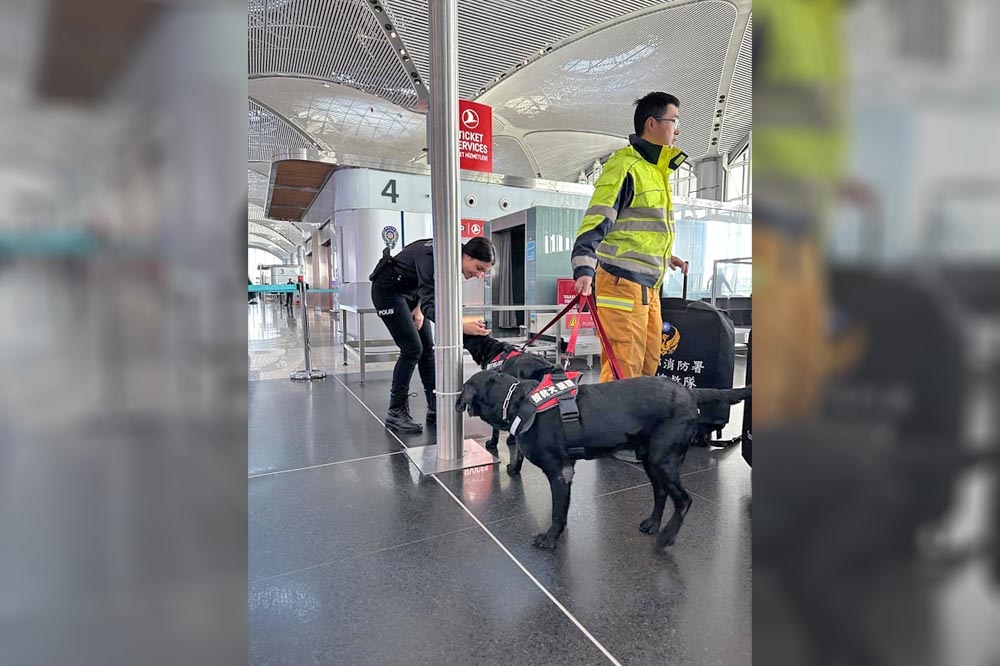 伊斯坦堡機場地勤人員彎腰輕撫台灣搜救犬。（取自Taiwan in Türkiye 駐土耳其代表處臉書）