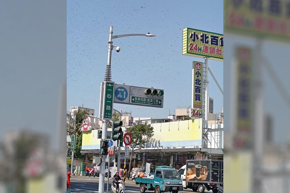 高雄市22日有外送員在路口停等紅綠燈時，遇到大量蜜蜂盤旋於空中。（取自臉書社團「外送員的奇聞怪事」）
