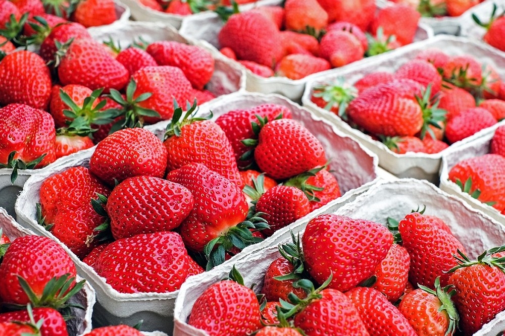 台南今天的法拍會上不僅有賣草莓，更有小吃攤擺攤賣土魠魚羹、炒米粉。示意圖。（取自pixabay）