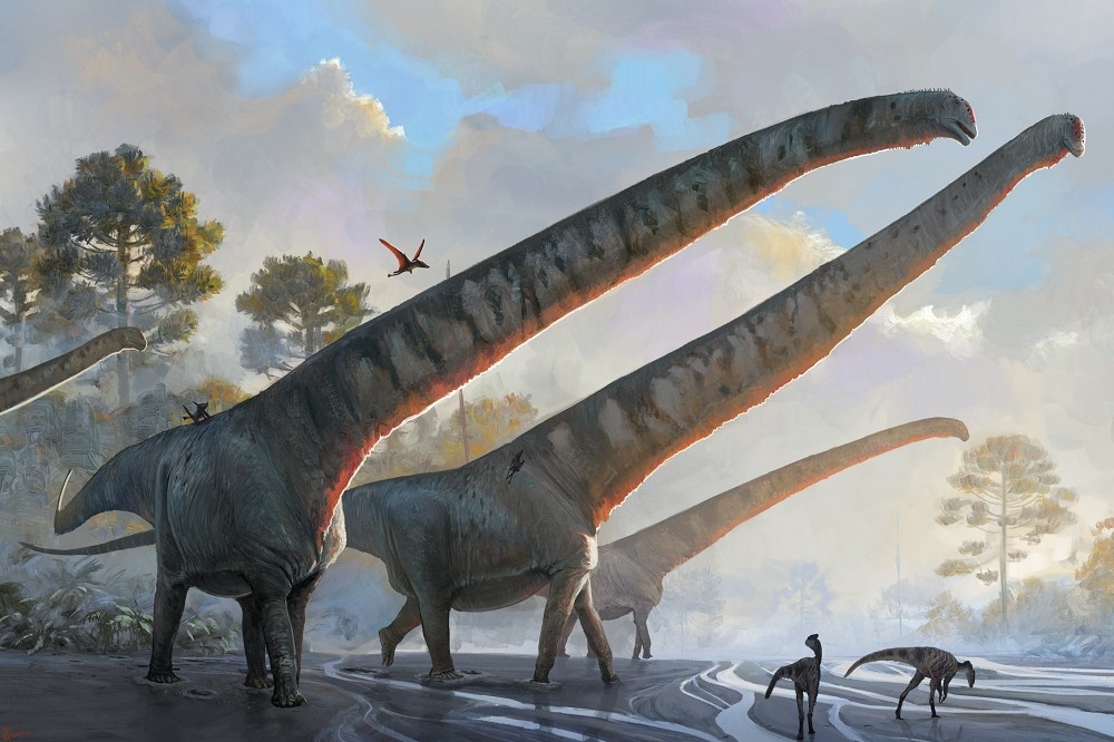 古生物學家分析發現，中加馬門溪龍的頸部長度，可能超過15公尺，是目前已知恐龍之最。（取自@tupandactylus推特）