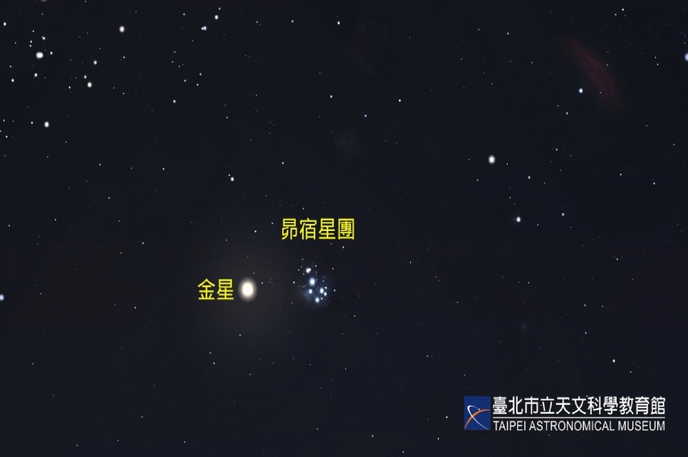 明天（11日）晚上7點，天空將出現「金星合昴宿星團」。（取自台北市立天文教育館）