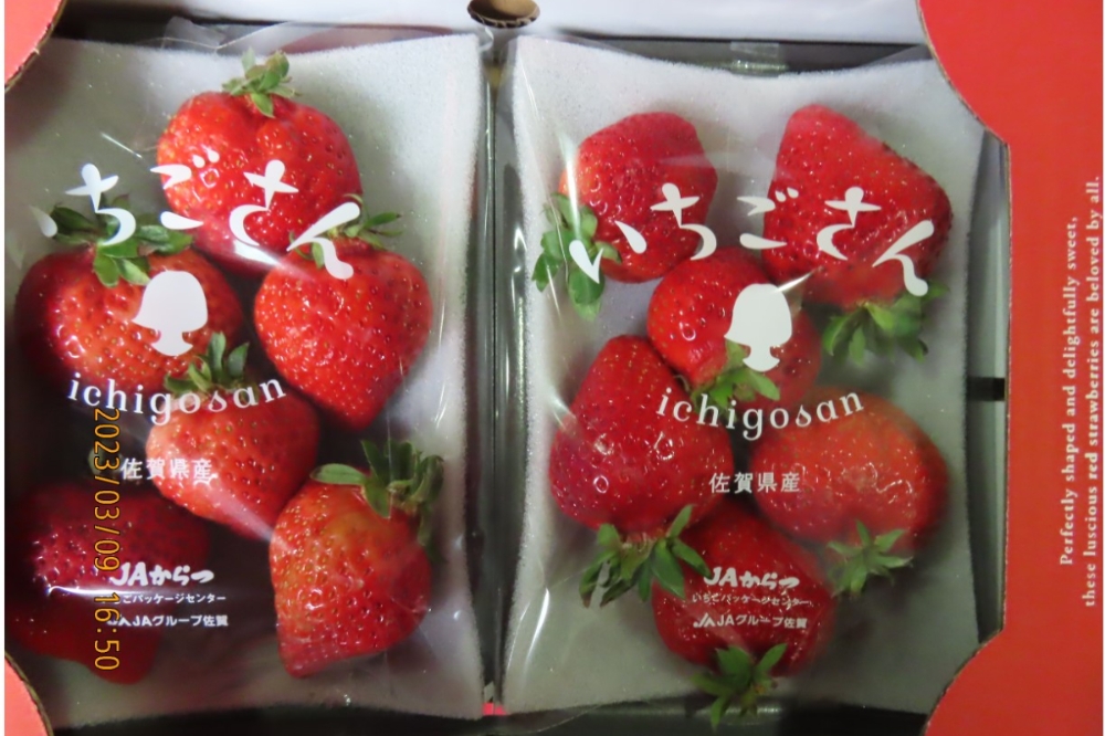 食品藥物管理署每周公布最新邊境稽查結果，自日本出口的鮮草莓被驗出殘留農藥不合格。（食藥署提供）