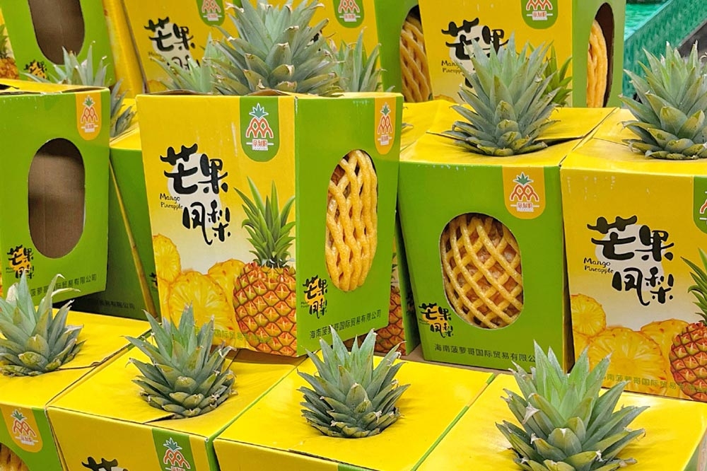 台灣新品種「芒果鳳梨」遭中國竊取，並成為海南省的熱銷水果。（取自微博）　