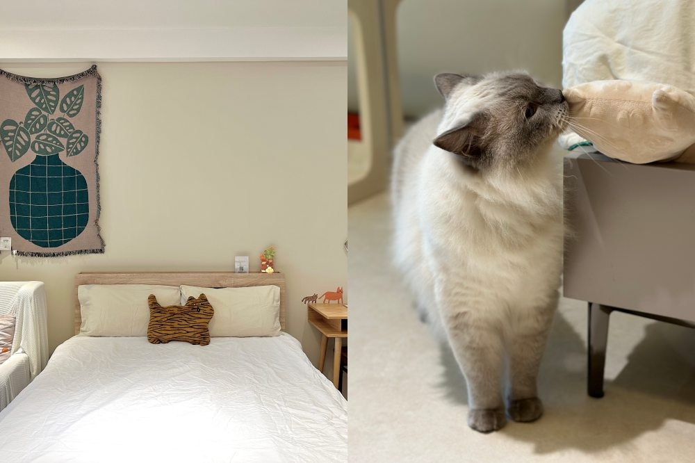 宜蘭羅東「Māode+ 貓的家」讓「貓的生活提案」可愛店貓陪你過夜（周羿庭攝）