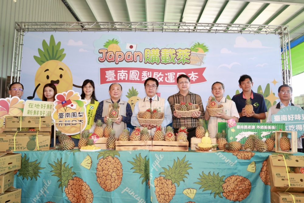 台南市政府今(4)日辦理「Japan 購載萊」記者會，與媒合通路商協力合作，再度出擊將台南優質的鳳梨外銷日本。