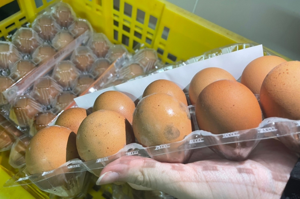 桃園市衛生局食安稽查人員發現進口泰國盒裝雞蛋有發霉問題。（桃園市政府衛生局提供）
