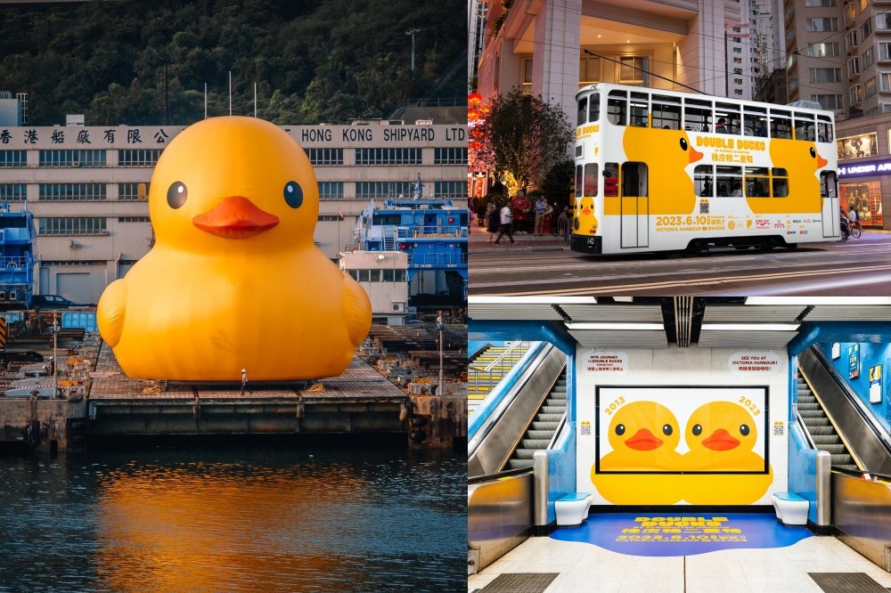 黃色小鴨睽違 10 年再度游進香港，預計 6 月正式與大家見面。（AllRightsReserved 提供）