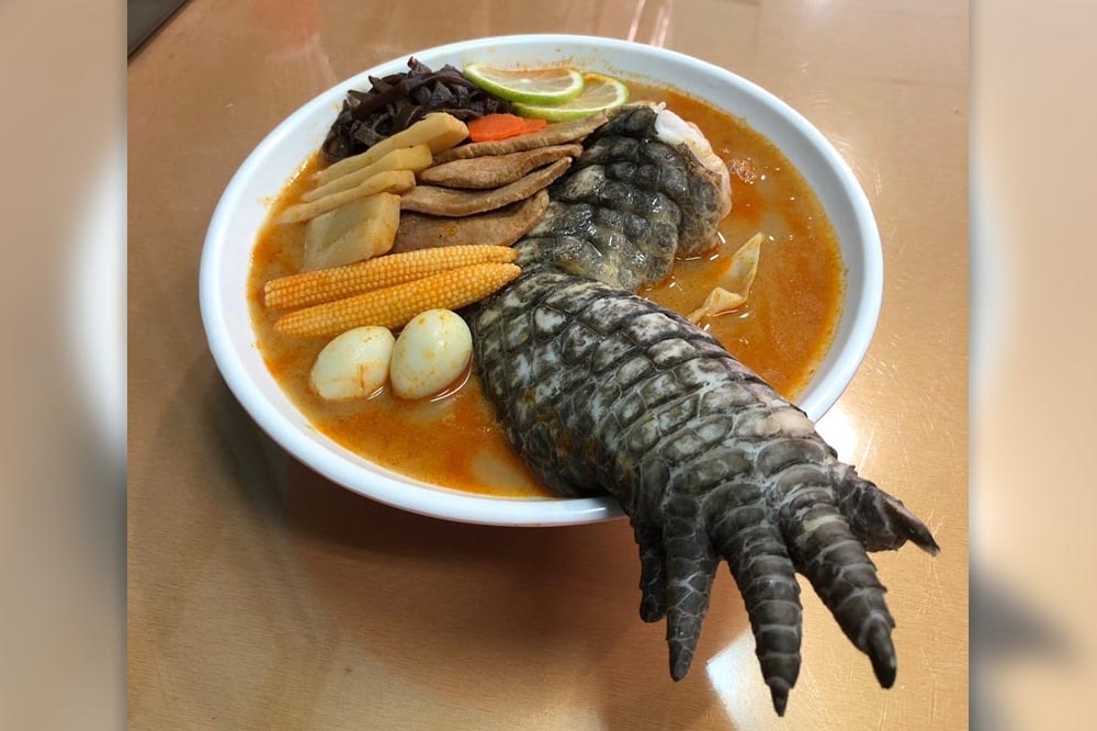 雲林店家推出「酷斯拉」鱷魚拉麵，整隻鱷魚前腳放在碗中。（取自女巫貓葵（斗六店）臉書粉專）