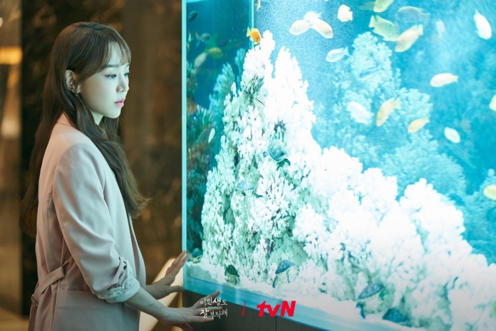 申惠善主演的韓劇《哲仁王后》創下高收視，但該劇爆發辱韓爭議，讓她也受到波及。睽違3年，她推出新戲《今生也請多指教》，直球追愛安普賢，這也是她又一齣穿越劇作品。（翻攝自tvN）