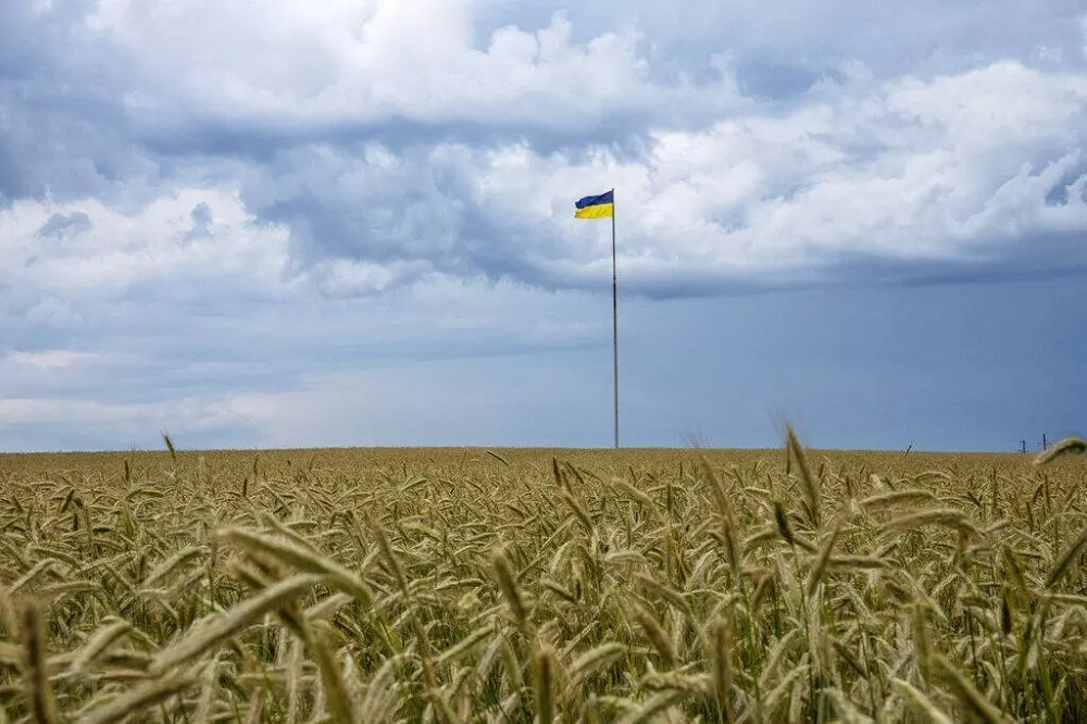 俄羅斯退出黑海穀物協議，恐讓烏克蘭穀物難以出口。（美聯社）