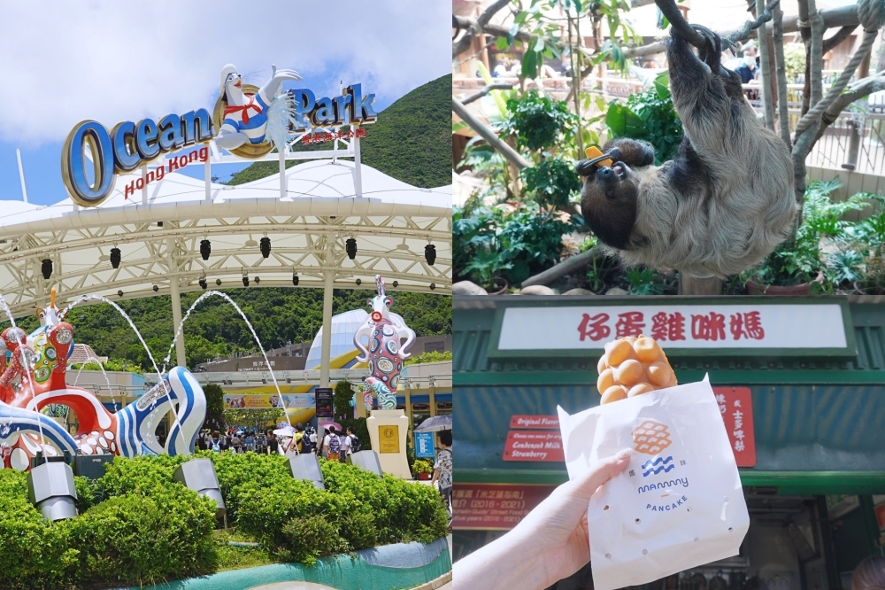 香港海洋公園全新動物展館「樹懶與好朋友」開幕（周羿庭攝）
