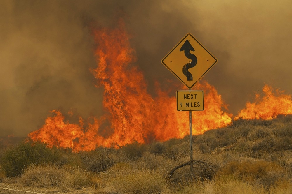 加州東南部沙漠出現野火，威脅當地生態系。（美聯社）
