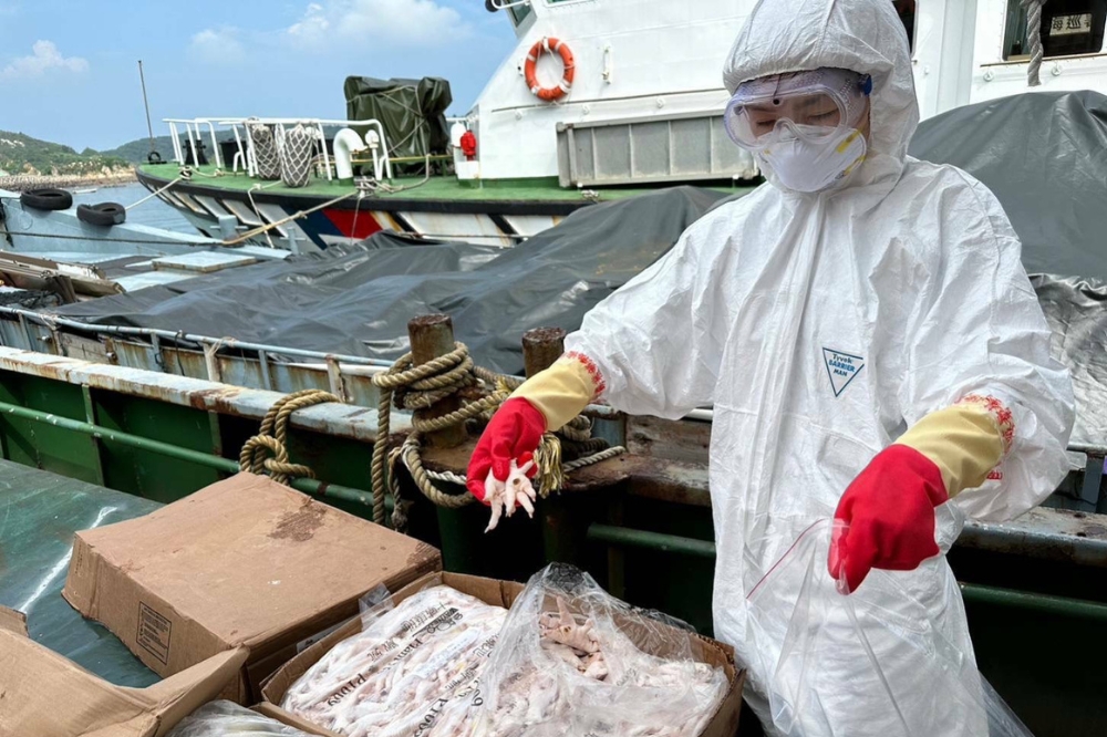 馬祖海巡24日又查獲1艘中國籍無船名漁船涉嫌走私畜產品。（海巡署提供）