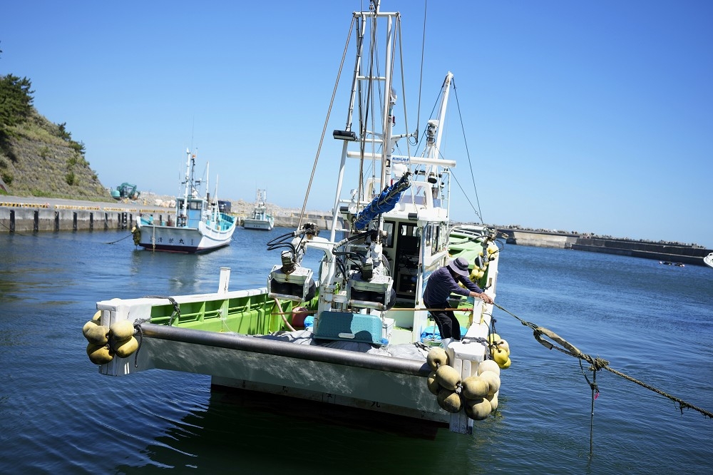 日本水產廳26日，公布福島第一核電廠開始排放核廢水後首批魚類檢測結果，並未發現有氚殘留的情況，圖為福島周邊地區的漁民作業情形。（美聯社）