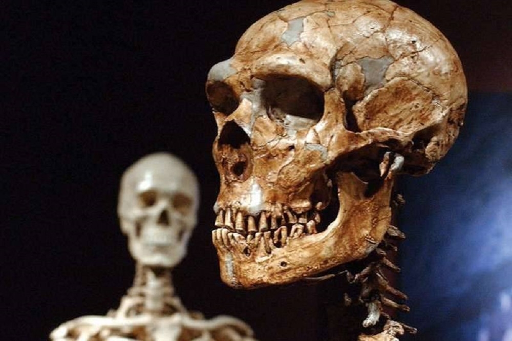 最新研究顯示，人類祖先在約90萬年前的演化過程中，曾面臨嚴峻威脅，一度瀕臨滅絕。（美聯社）