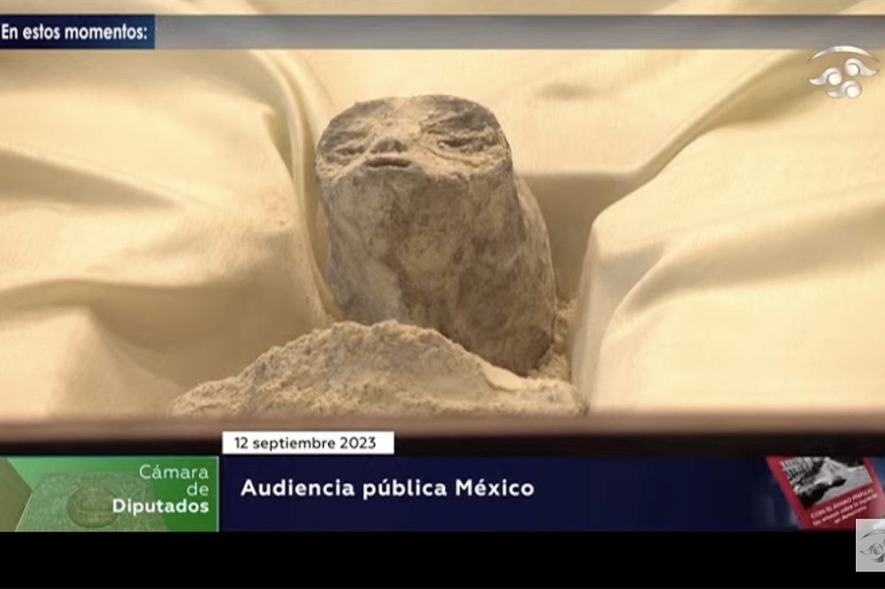 UAP專家莫森在墨西哥國會聽證會上，出示2具外星人屍體。（截自X平台影片）
