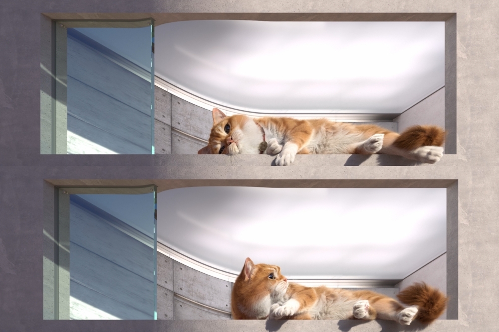 基隆最新打卡點「3D 胖橘貓」現身基隆舊火車站頂樓。（智崴集團提供）