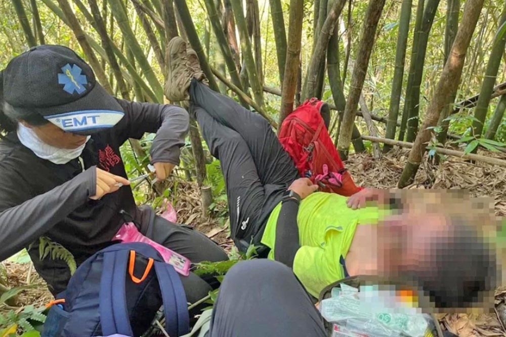 新北市瑞芳區昨天上午有11名登山客遭蜂群螫傷，其中2人送醫後不治。（翻攝畫面）