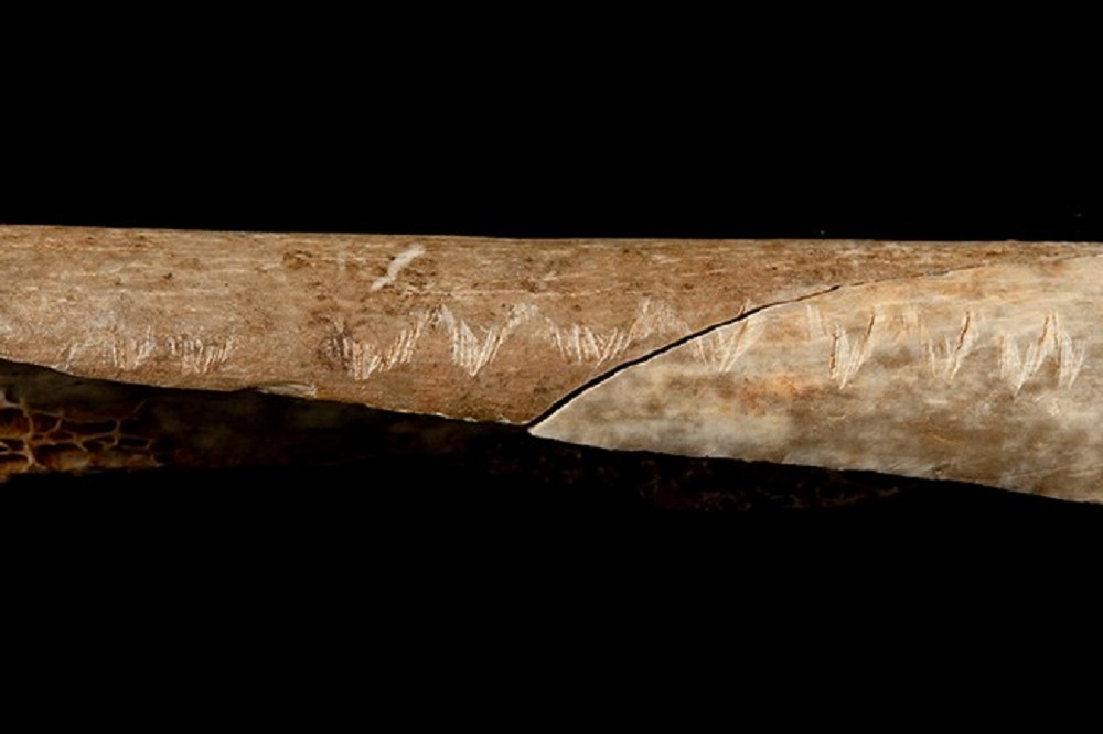 英國馬格德林文化遺址的死者骨頭有外力的痕跡，表明將死者吃掉是當時喪禮的一部份。（取自英國自然史博物館官網）