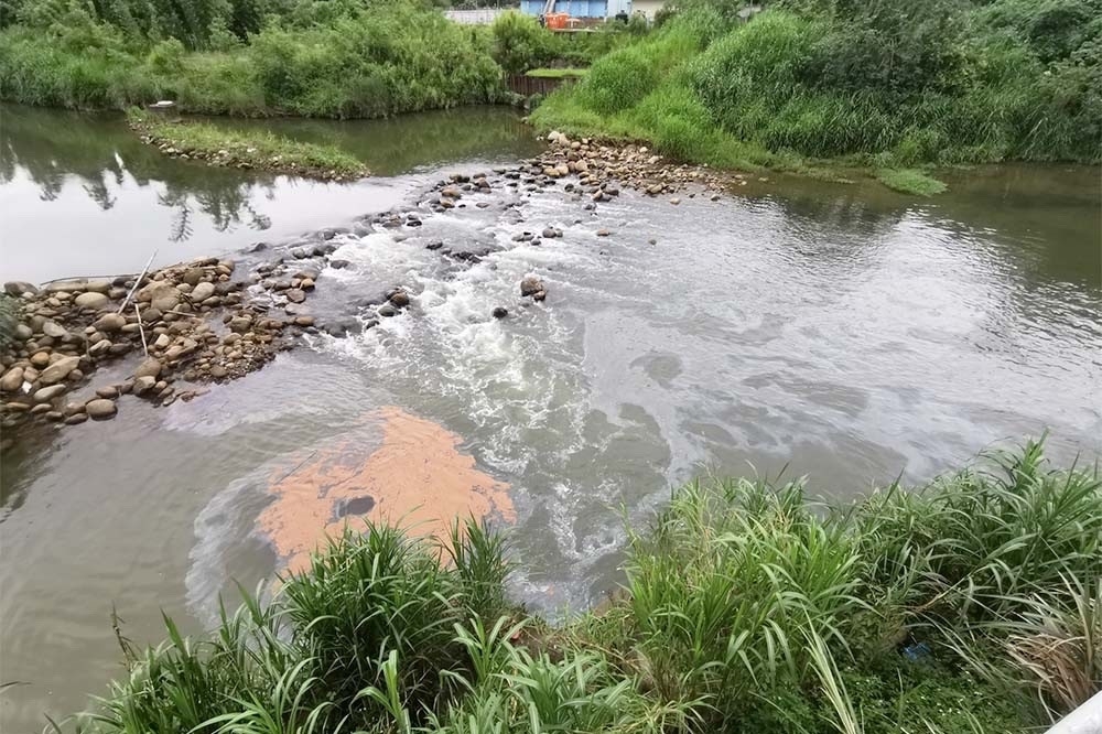 艾斯巴達公司將污染性廢液排入鳳山溪，嚴重衝擊當地水環境。（取自關西鎮鄉土文化協會臉書）