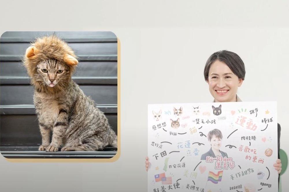 蕭美琴今天介紹家中四隻貓，並解釋自己被稱「戰貓」由來。（取自蕭美琴YouTube）
