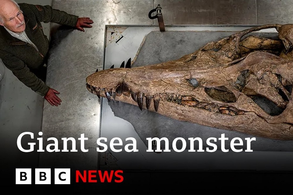 英國古生物學家發現迄今最完整的上龍頭蓋化石。（截自BBC影片）