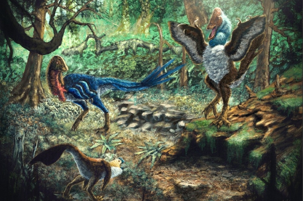 美國一名研究生原先以為買到威力安祖龍（右）的化石，結果是全新品種Eoneophron infernalis（左下）。（取自PLOS ONE官網）