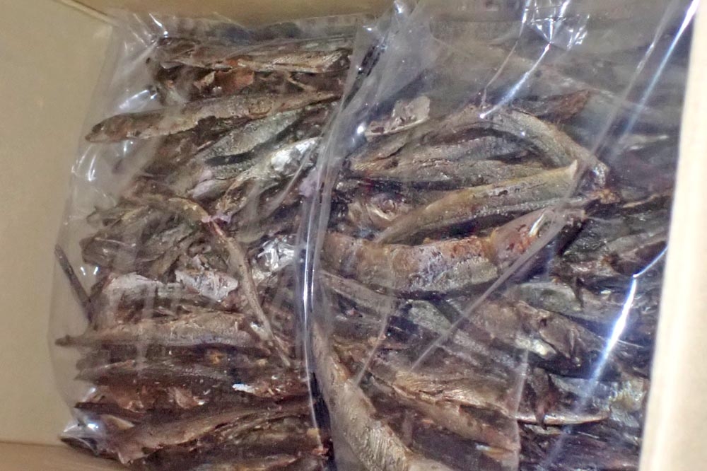 日本进口焙干秋刀鱼节，被检出1级致癌物「苯(a)骈芘」，且超标40倍。（食药署提供）(photo:UpMedia)