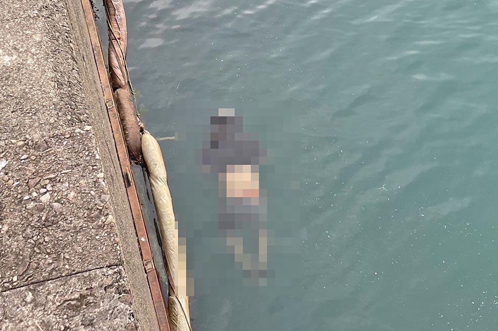 新北萬里地區一名男子遭頭套塑膠袋、雙腿綑綁，在海中已明顯死亡。（翻攝畫面）