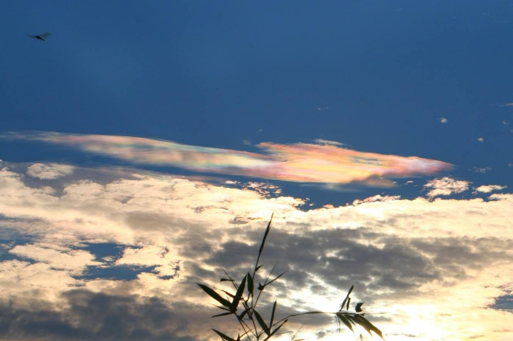 彩虹雲是陽光穿過薄雲的水滴或冰晶，產生「繞射」而出現的現象。（翻攝自鄭明典臉書）
