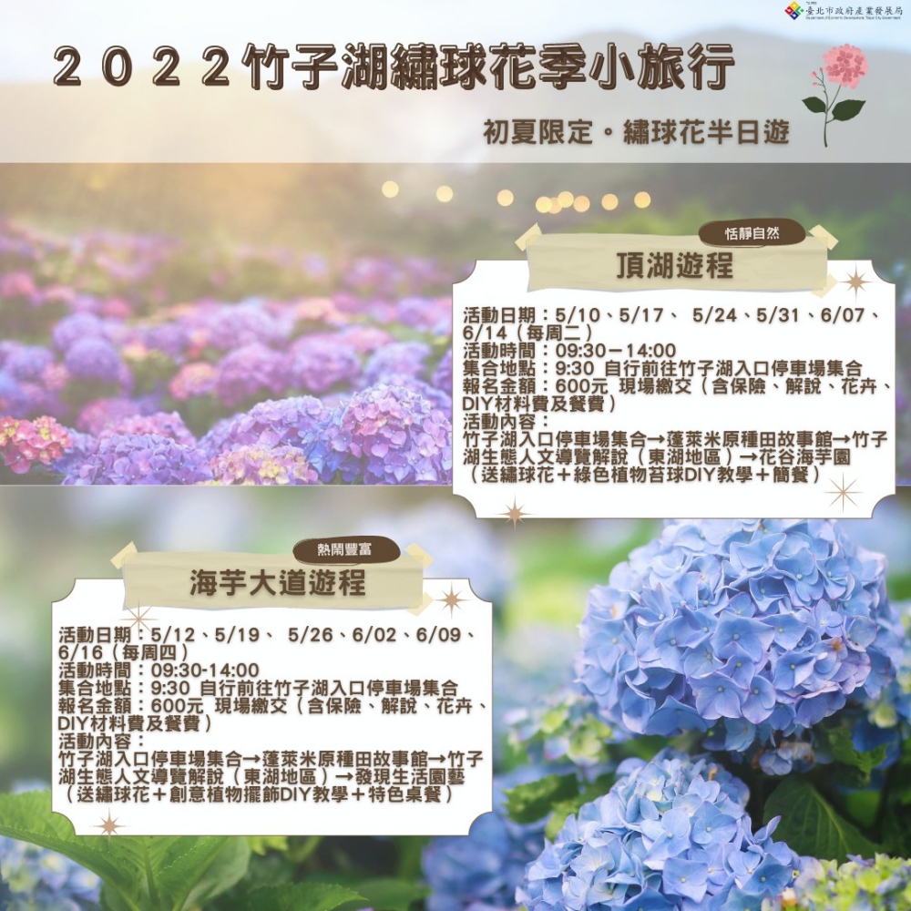 2022陽明山繡球花季