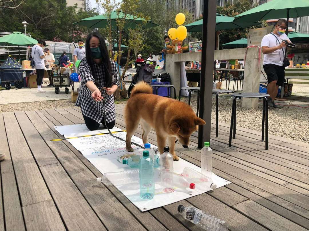 高雄週末市集「寵物嘉年華」今年升級推出專屬狗狗的園遊會攤位「遊戲基地闖關活動」