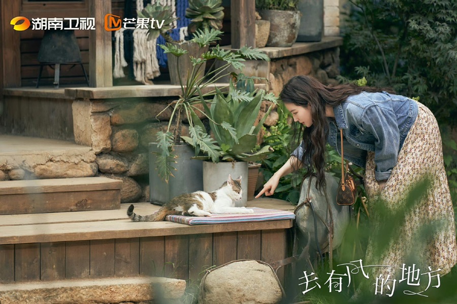 劉亦菲因導演保證她可以邊拍戲邊「公費逗狗玩貓」，讓愛動物的她一口答應